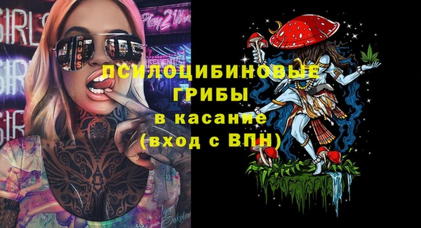 spice Вязники