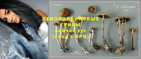 spice Вязники